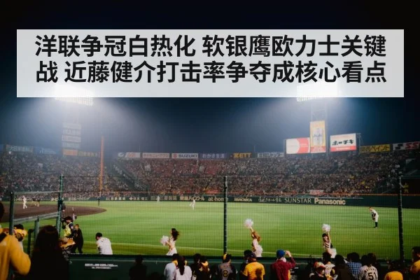 baseball stadium night game